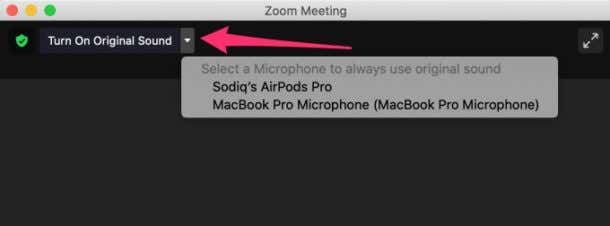 mac microphone not working with zoom