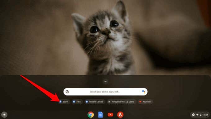 How to Use Zoom on Chromebook image 5