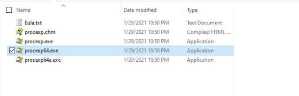 Process Explorer 17.05 for apple instal