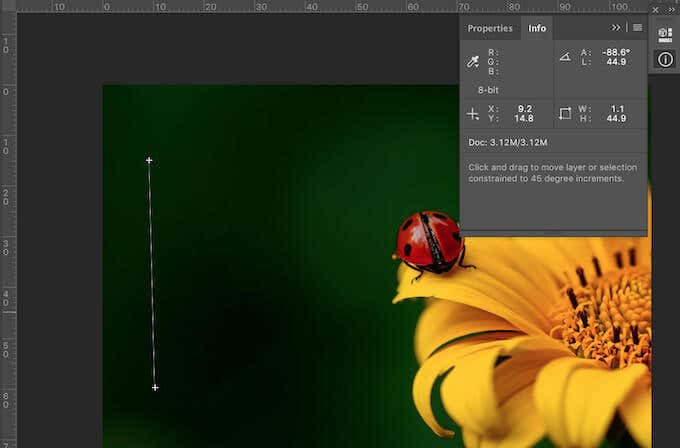 How to Measure Distance in Photoshop - 45