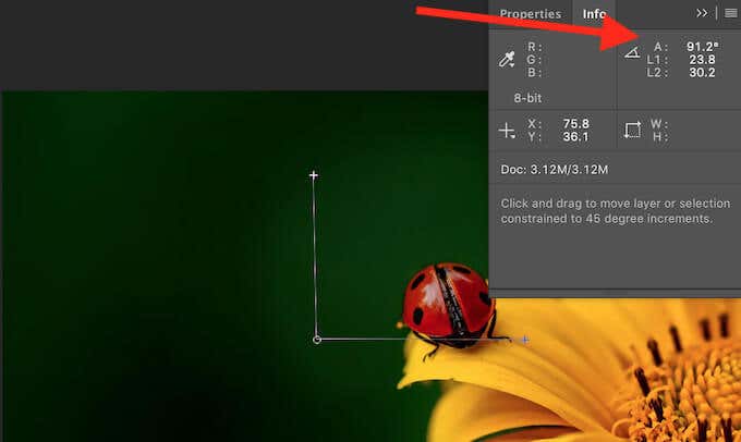 How to Measure Distance in Photoshop - 13