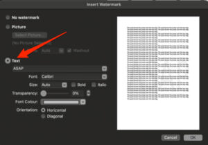 How to Insert a Watermark in Word and Google Docs