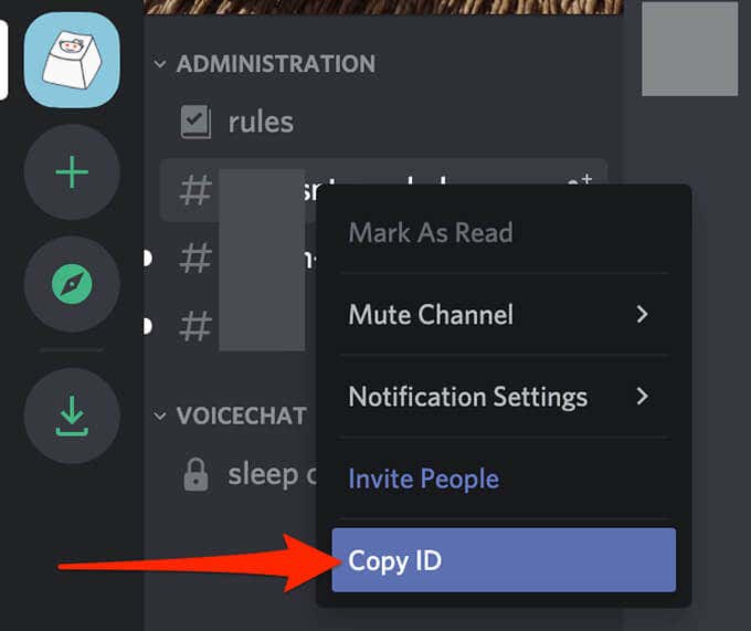 How to Enable and Use Developer Mode on Discord image 14