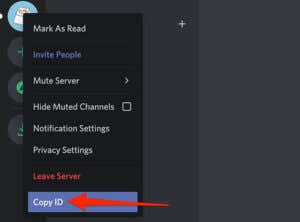 How to Enable and Use Developer Mode on Discord