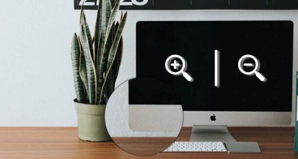 How to Zoom In and Zoom Out on Mac and PC
