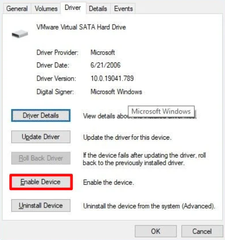 why is macdrive 10 standard not displaying windows 10
