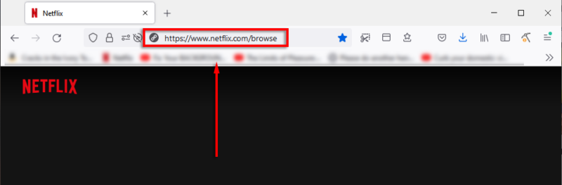 How to Stream Netflix on Discord