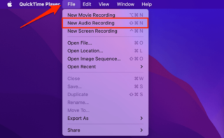 How to Record a WhatsApp Video or Audio Call