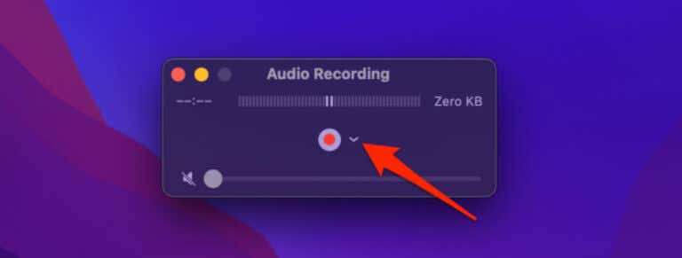 How to Record a WhatsApp Video or Audio Call