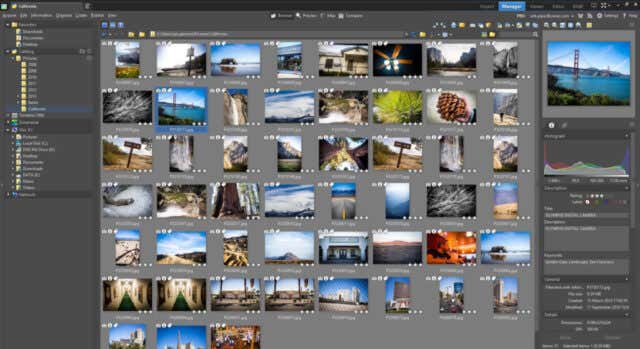 Best Photo Organizing Software For Windows