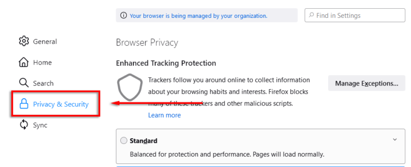 5 Best Firefox Privacy Add-ons For Online Safety