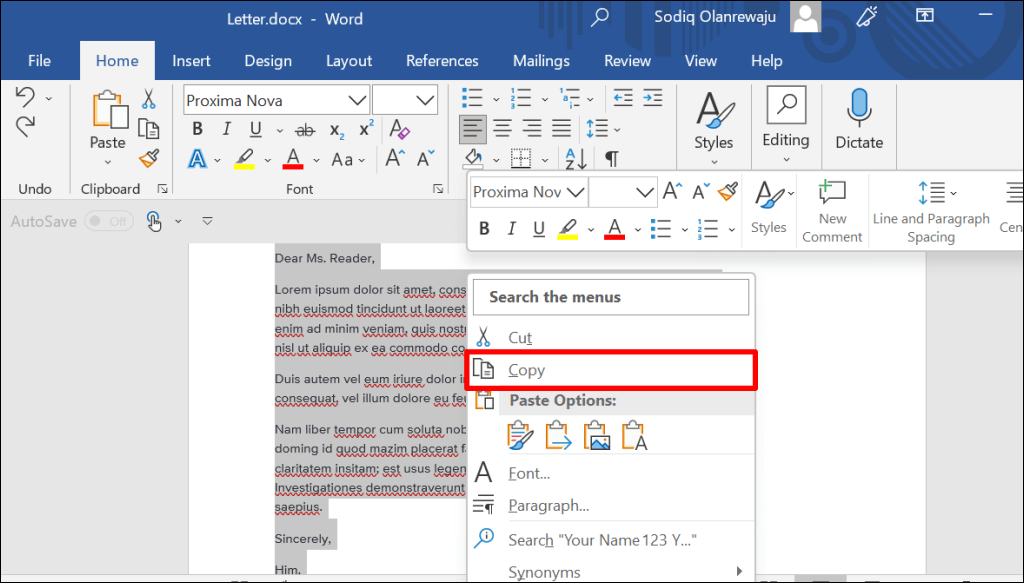 How to Duplicate Pages in a Microsoft Word Document - 22