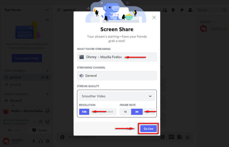 How to Stream Disney Plus on Discord