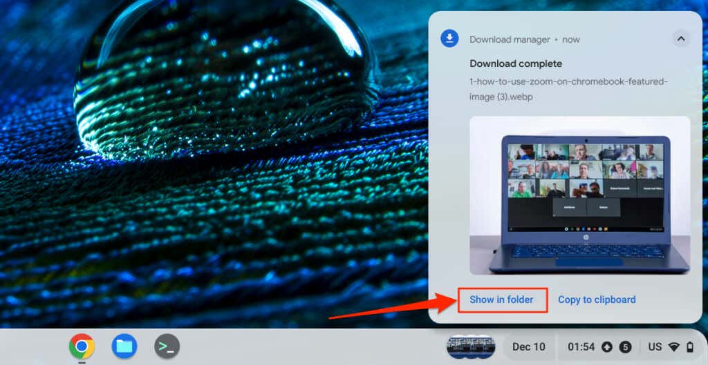 How to Download and Save Images on Your Chromebook image 4