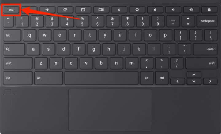 Chromebook Touchpad or Mouse Not Working? 13 Fixes to Try