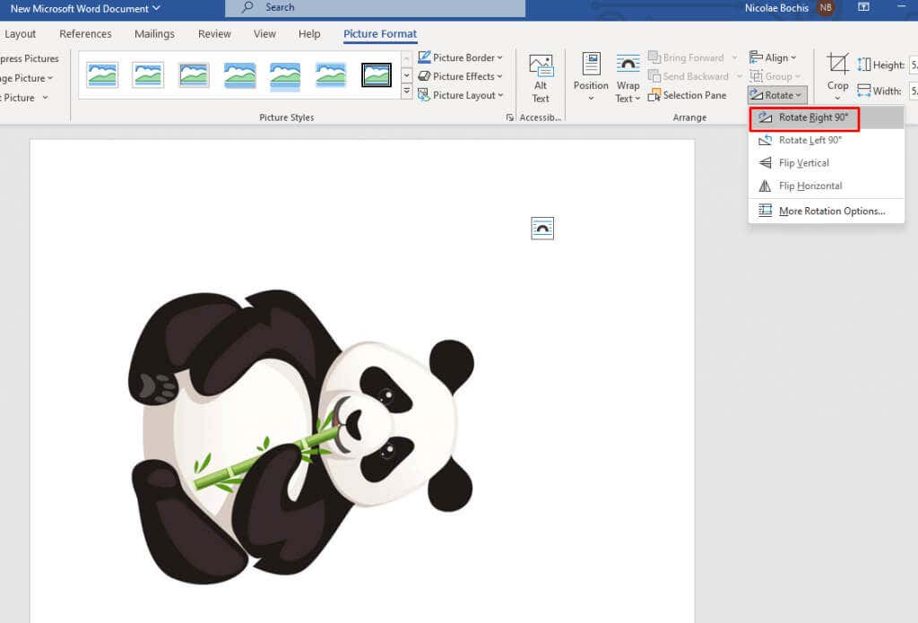 How to Rotate a Picture in Microsoft Word image 6