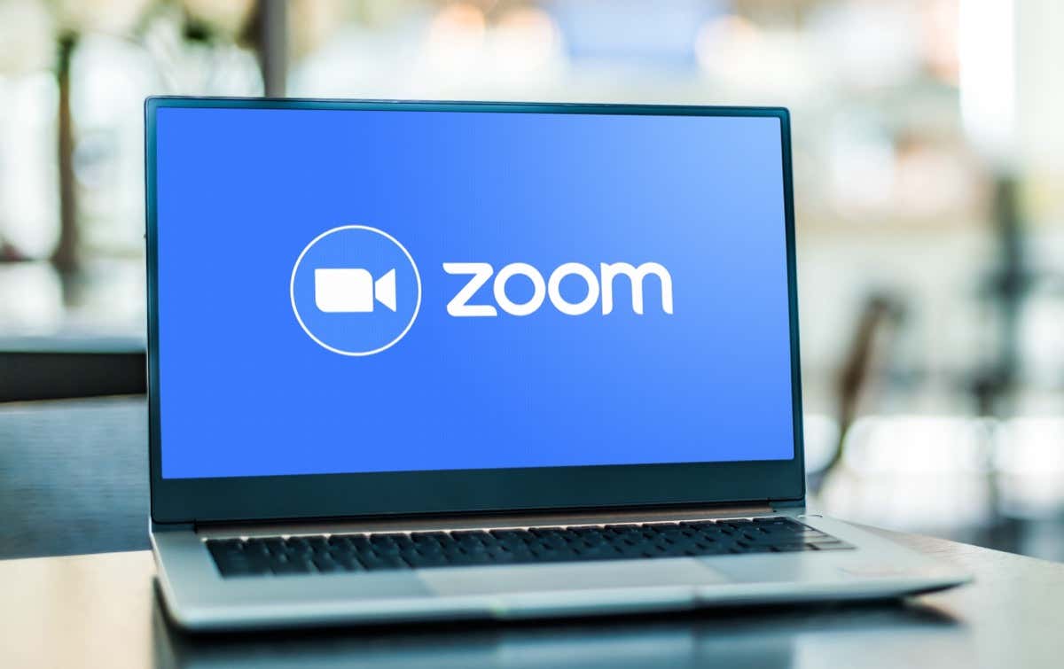 How to Fix Zoom Error Code 10002 in Windows