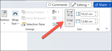 How to Crop Pictures in Microsoft Word image 10