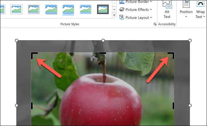 How to Crop Pictures in Microsoft Word image 3