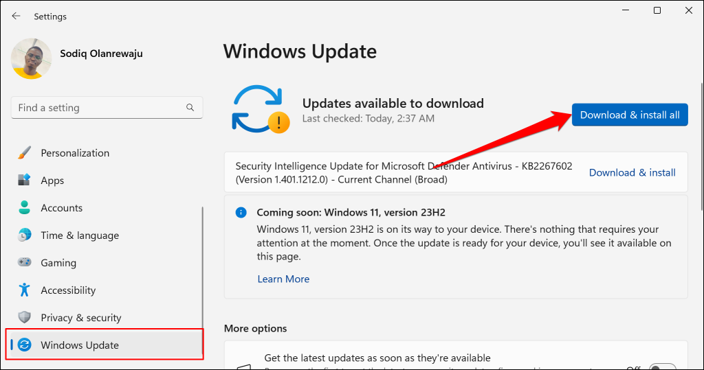 Windows Update settings in Windows 11 