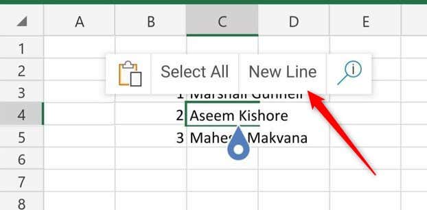 How to Start a New Line of Text in Microsoft Excel Cells image 5