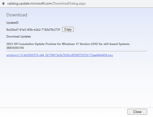How to Fix Windows Update “Download Error - 0x80248007” image 21