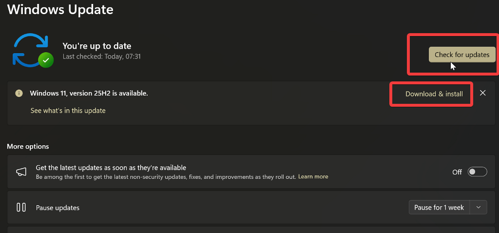 check for windows updates