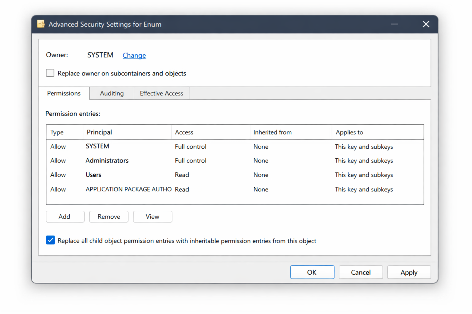 Advanced Security Settings for Enum key with 