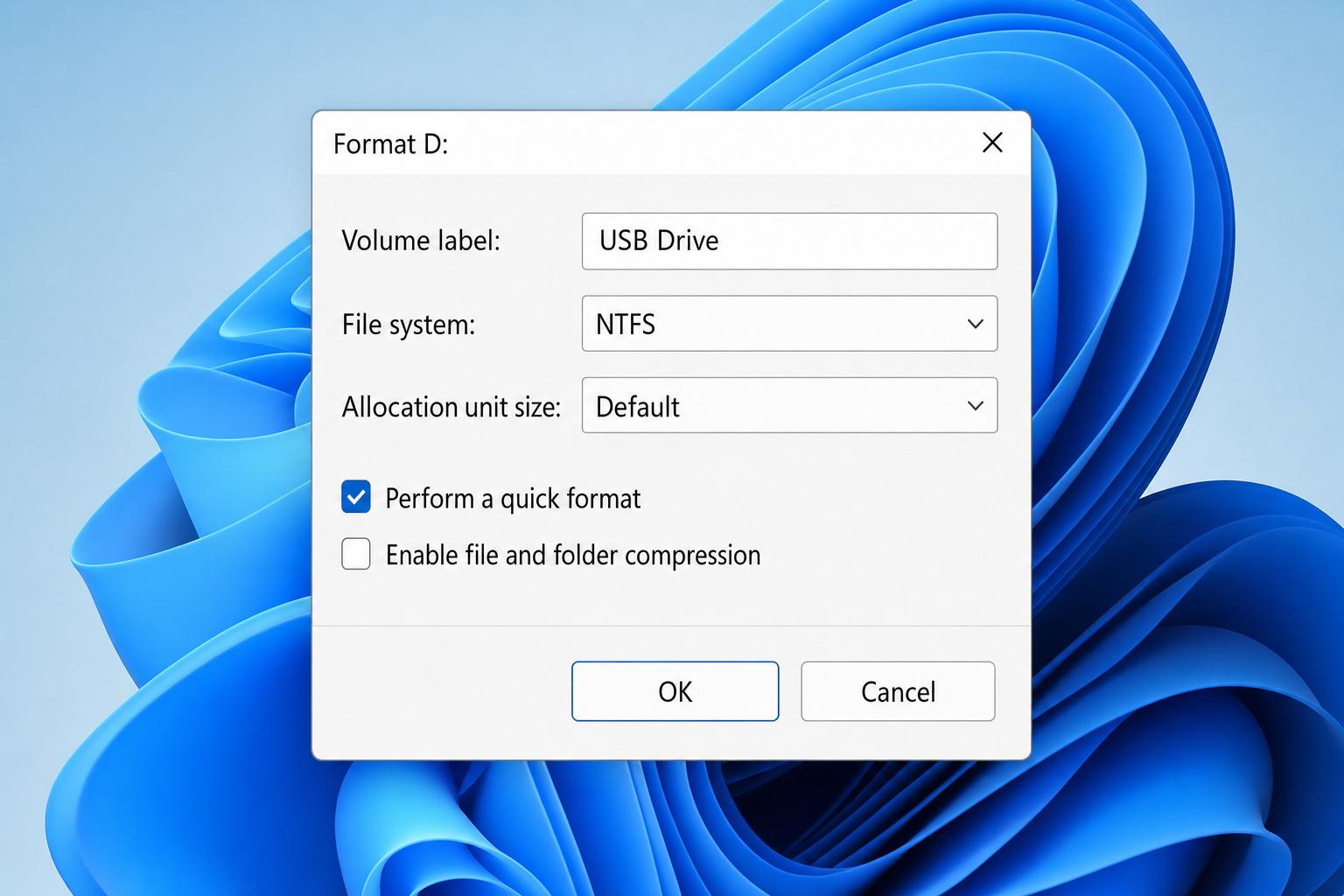Windows Format dialog box showing NTFS selected in the File System dropdown and Quick Format checkbox checked