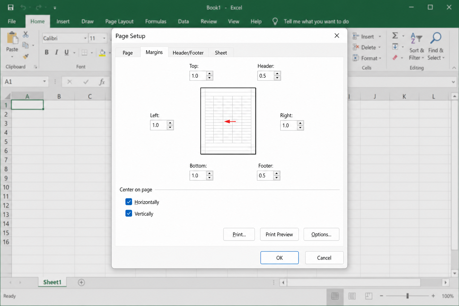 Page Setup dialog open on the Margins tab, with both Horizontally and Vertically checkboxes checked under the "Center on page" section