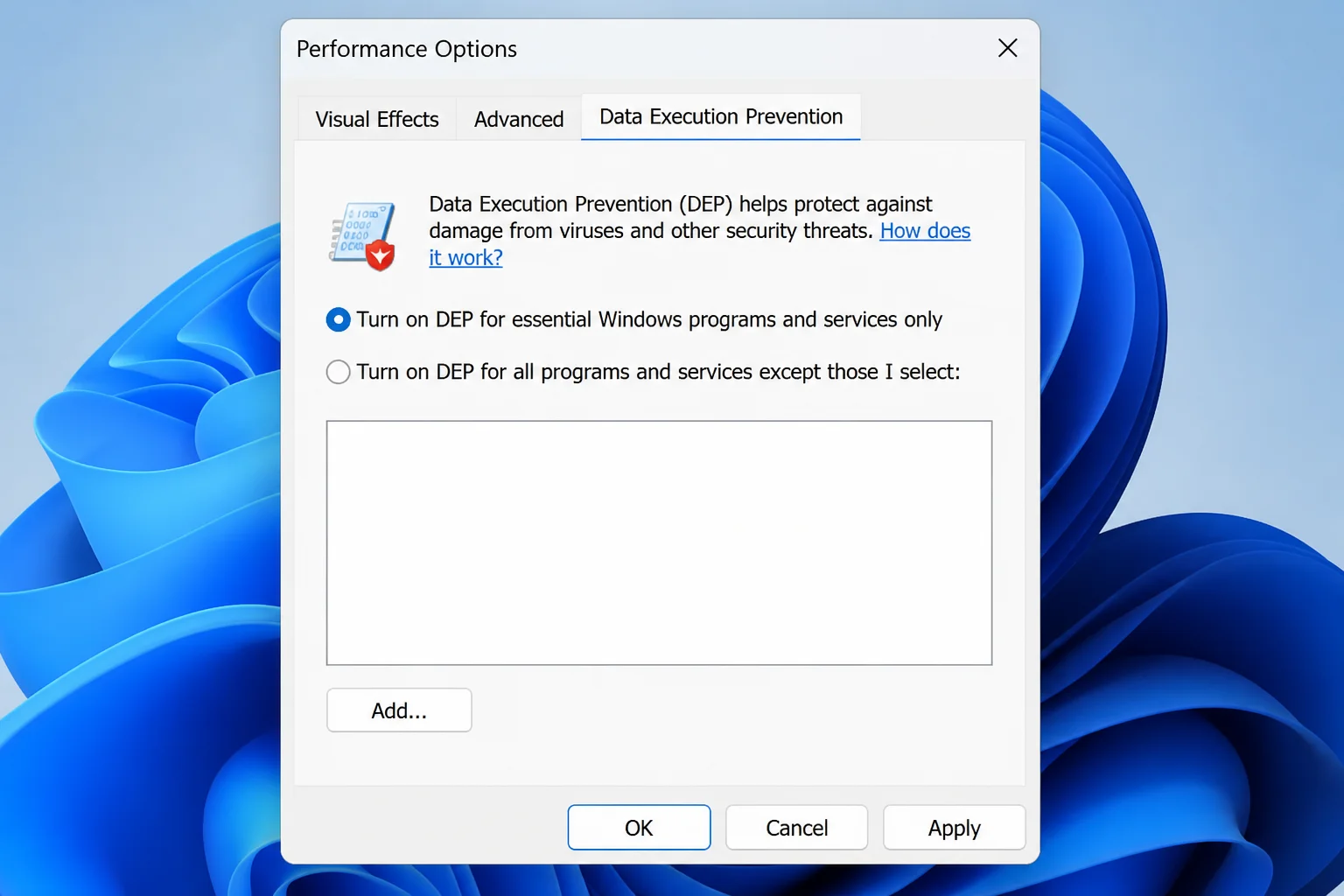 Performance Options dialog open on the Data Execution Prevention tab with "Turn on DEP for all programs except those I