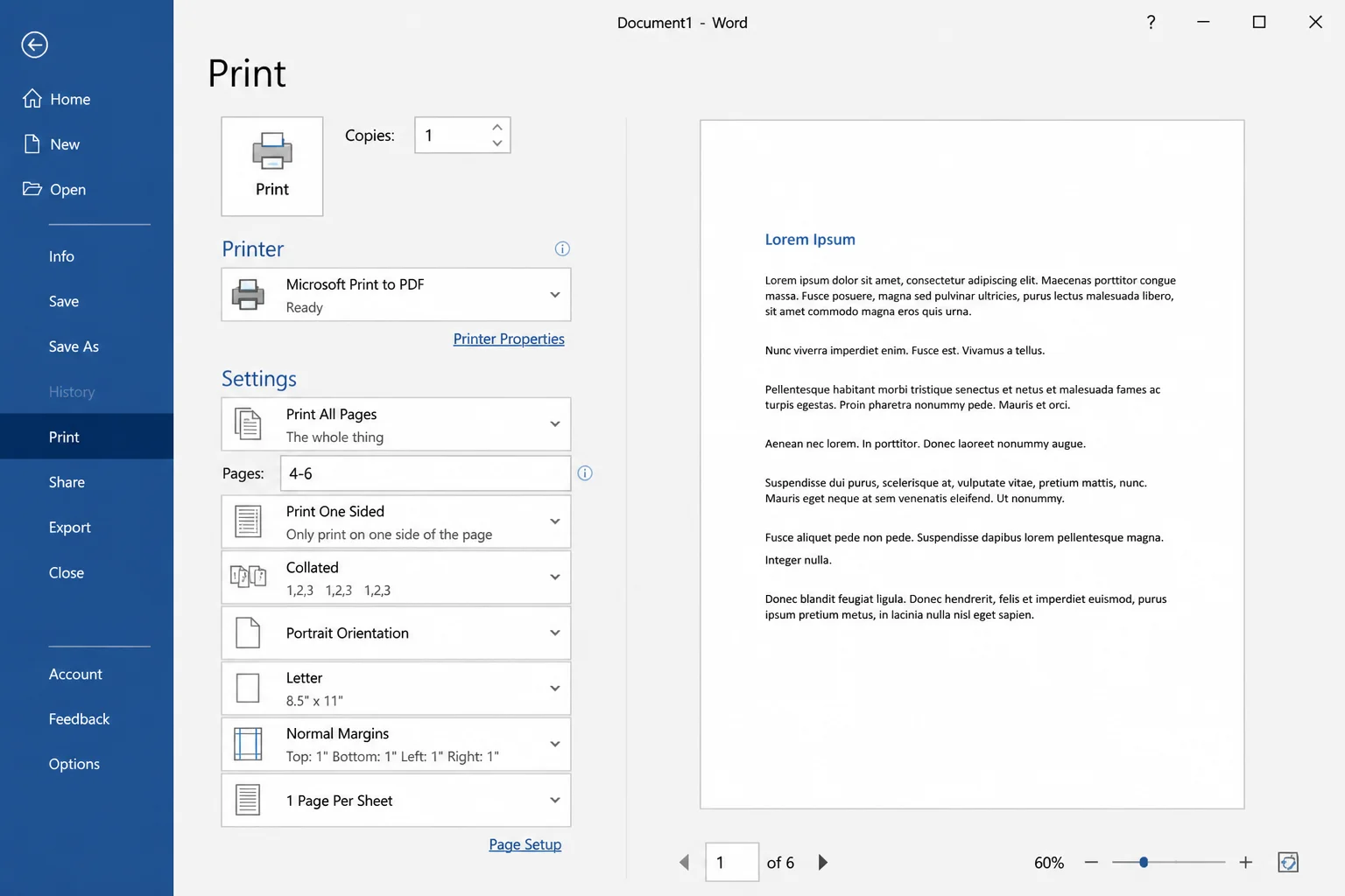 Word for Windows Custom Print settings with the Pages field filled in with the example range "4-6"