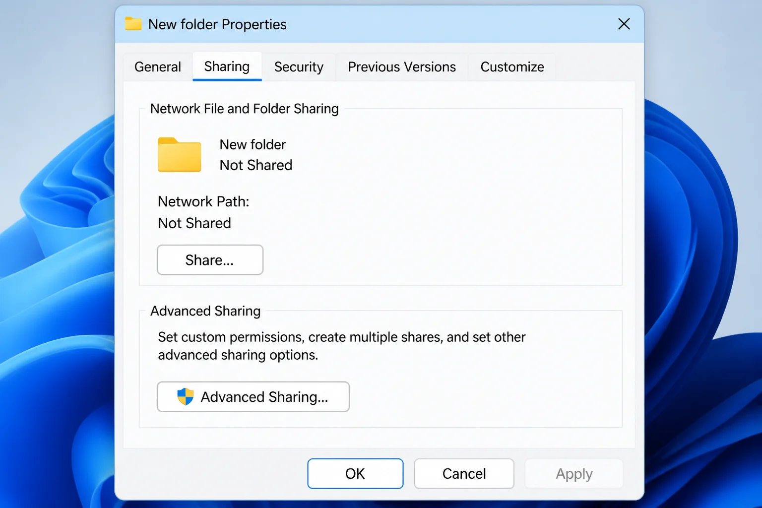 Folder Properties dialog open on the Sharing tab in Windows 11, with the Network Path field visible — one example showing a
