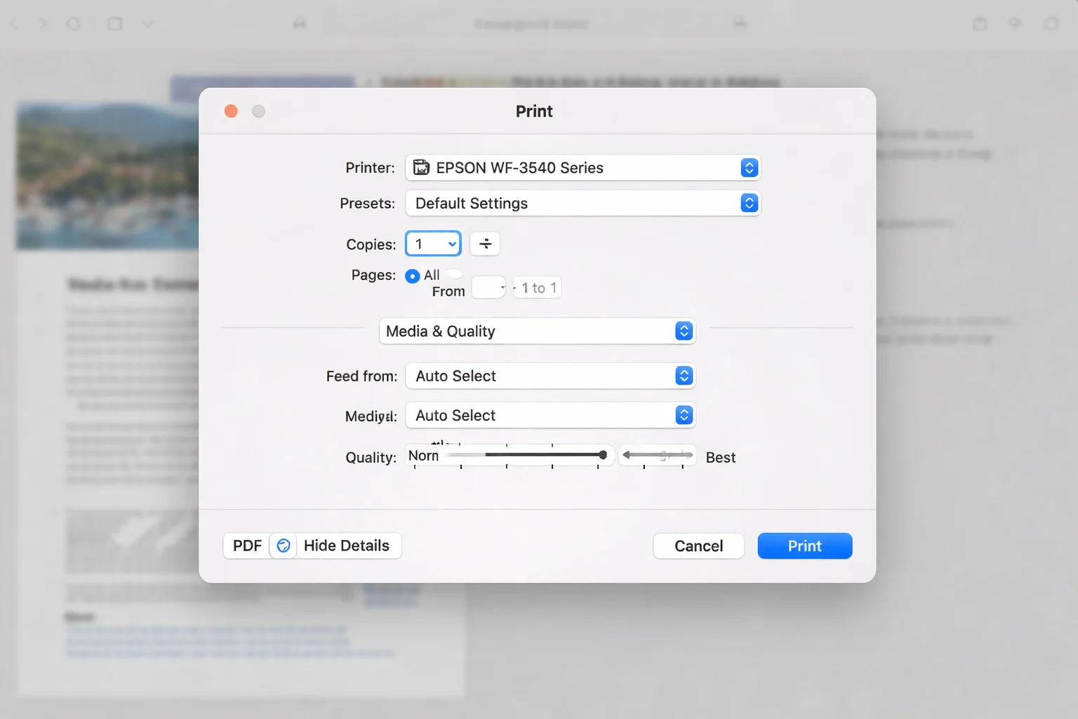 Expanded macOS print dialog opened from Safari with Show Details controls visible