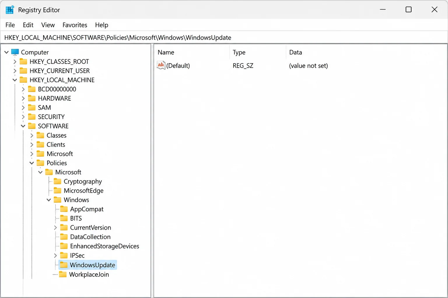 Registry Editor showing HKEY_LOCAL_MACHINE SOFTWARE Policies Microsoft Windows WindowsUpdate in the address bar and the WindowsUpdate policy key highlighted