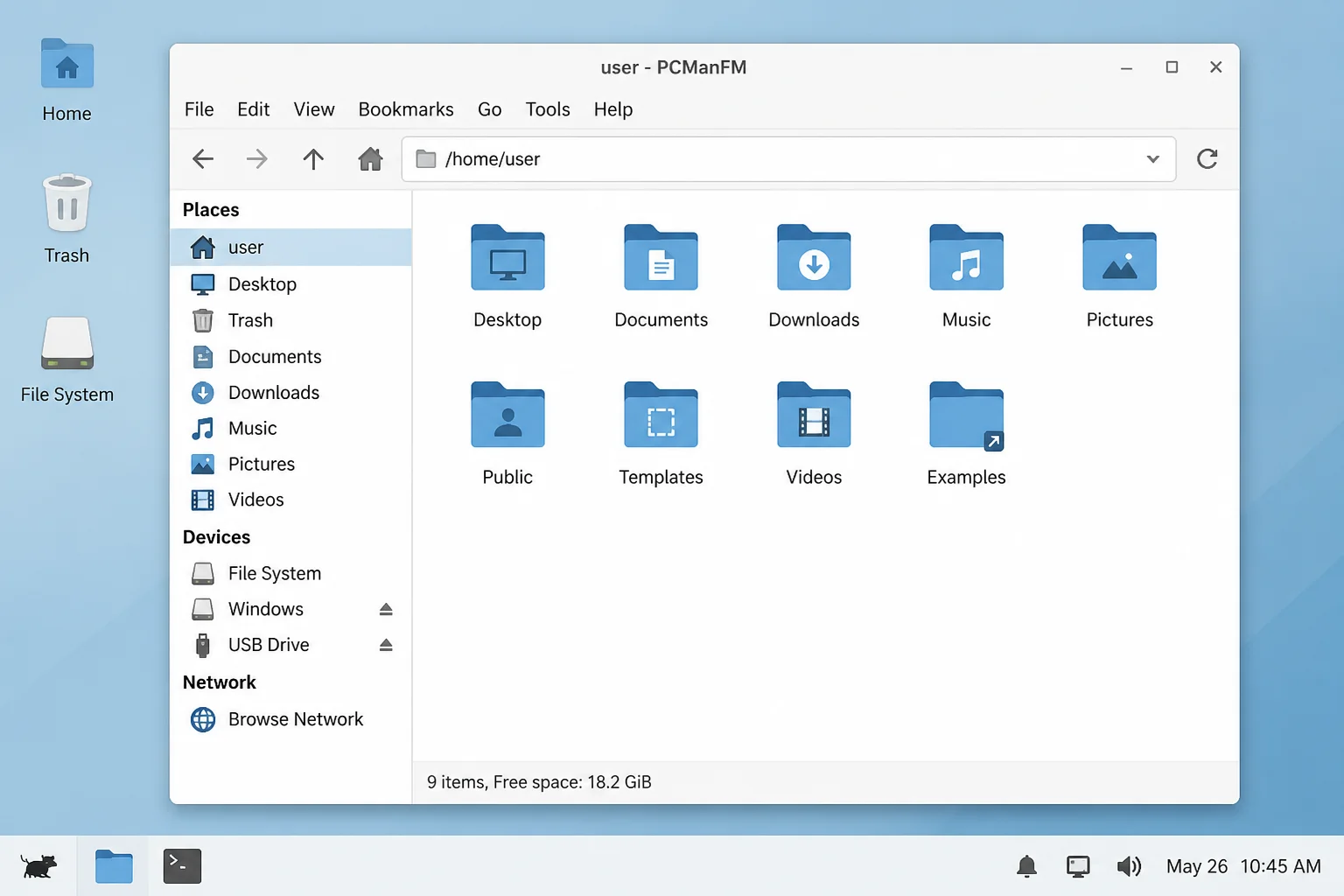 SystemRescue Linux desktop showing the PCManFM file manager with a mounted Windows NTFS partition listed in the left sidebar alongside a connected external USB drive, both accessible for copying files
