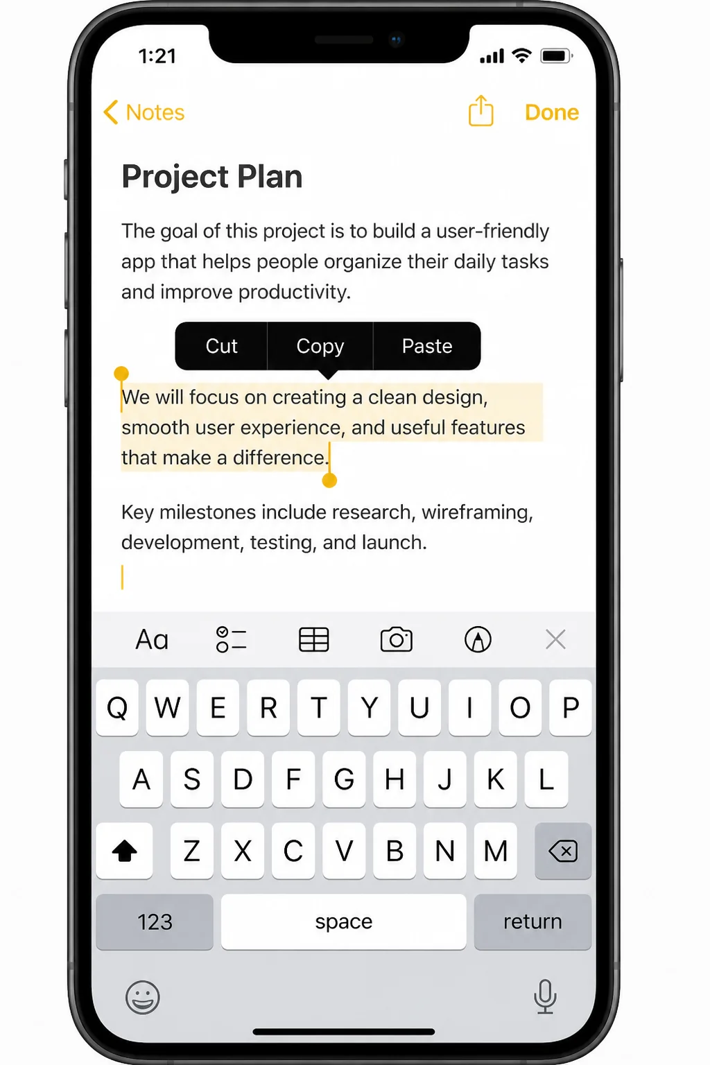 iPhone text-selection menu showing Copy and Paste as a local iOS clipboard test without personal content