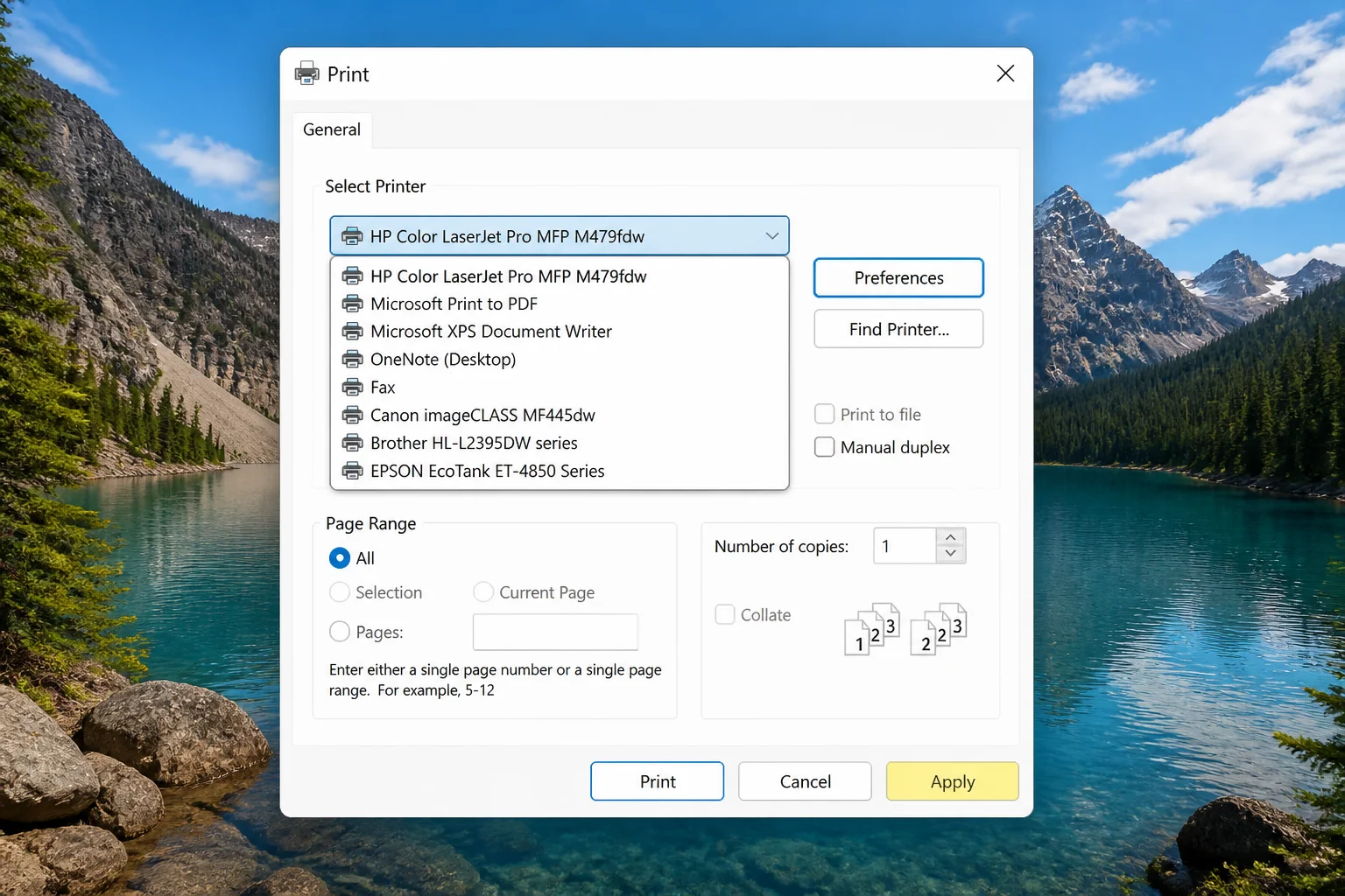 Windows system print dialog showing Select Printer and Preferences highlighted