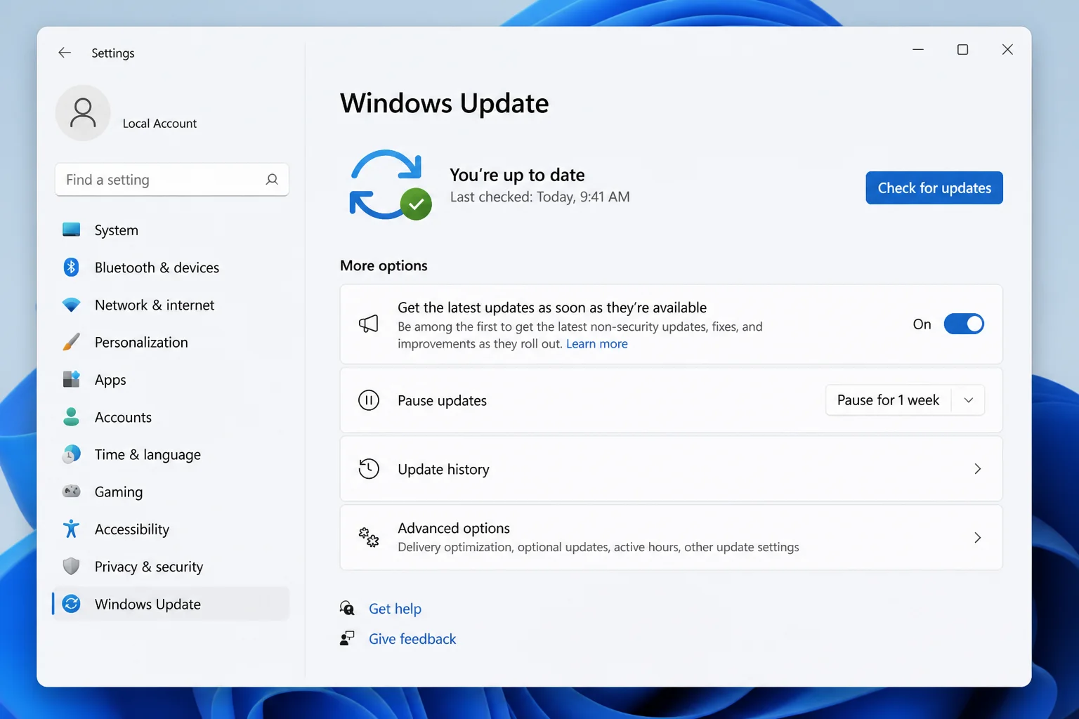 Windows 11 Windows Update page with Check for updates highlighted