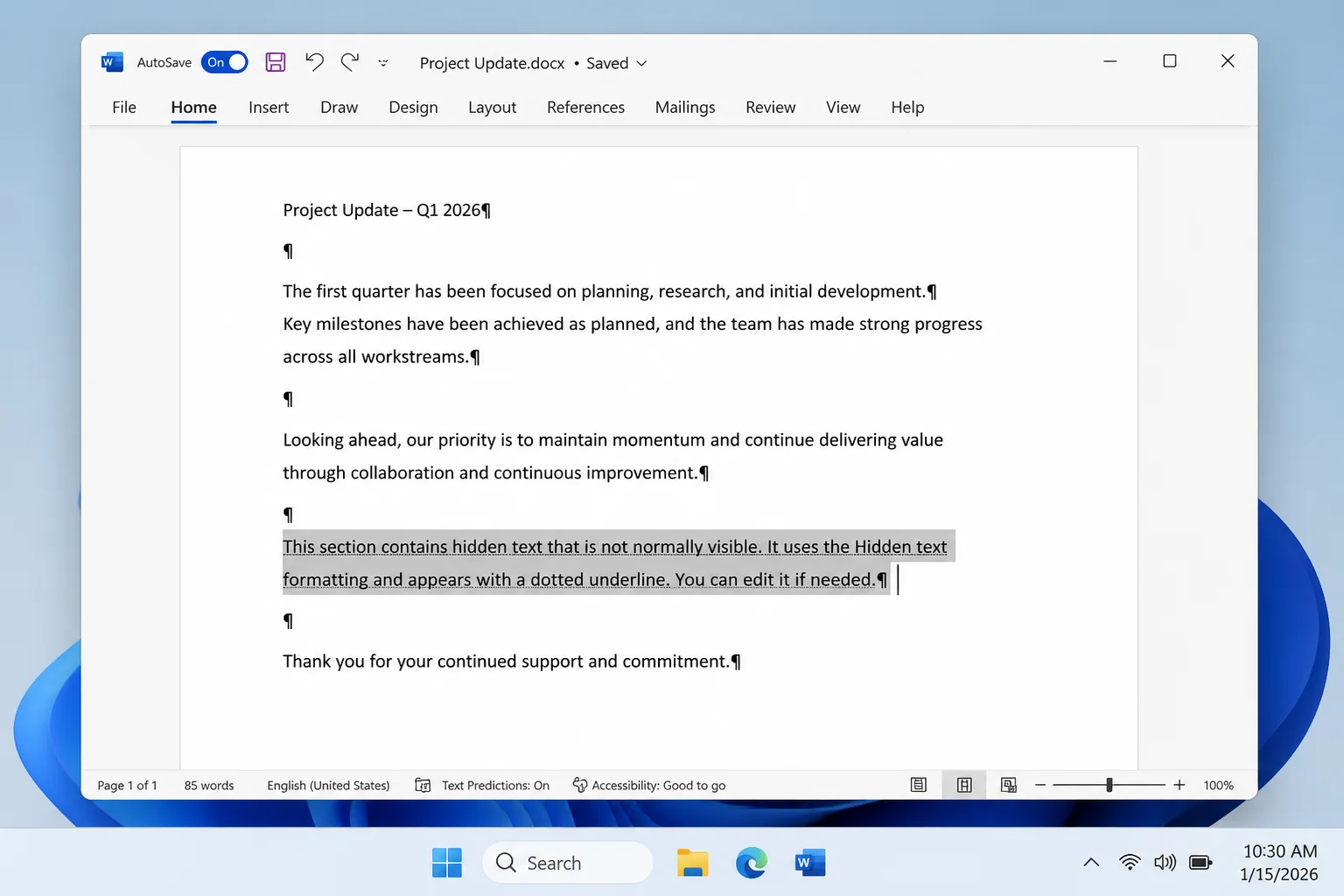 Word document with dotted-underlined hidden text selected for editing