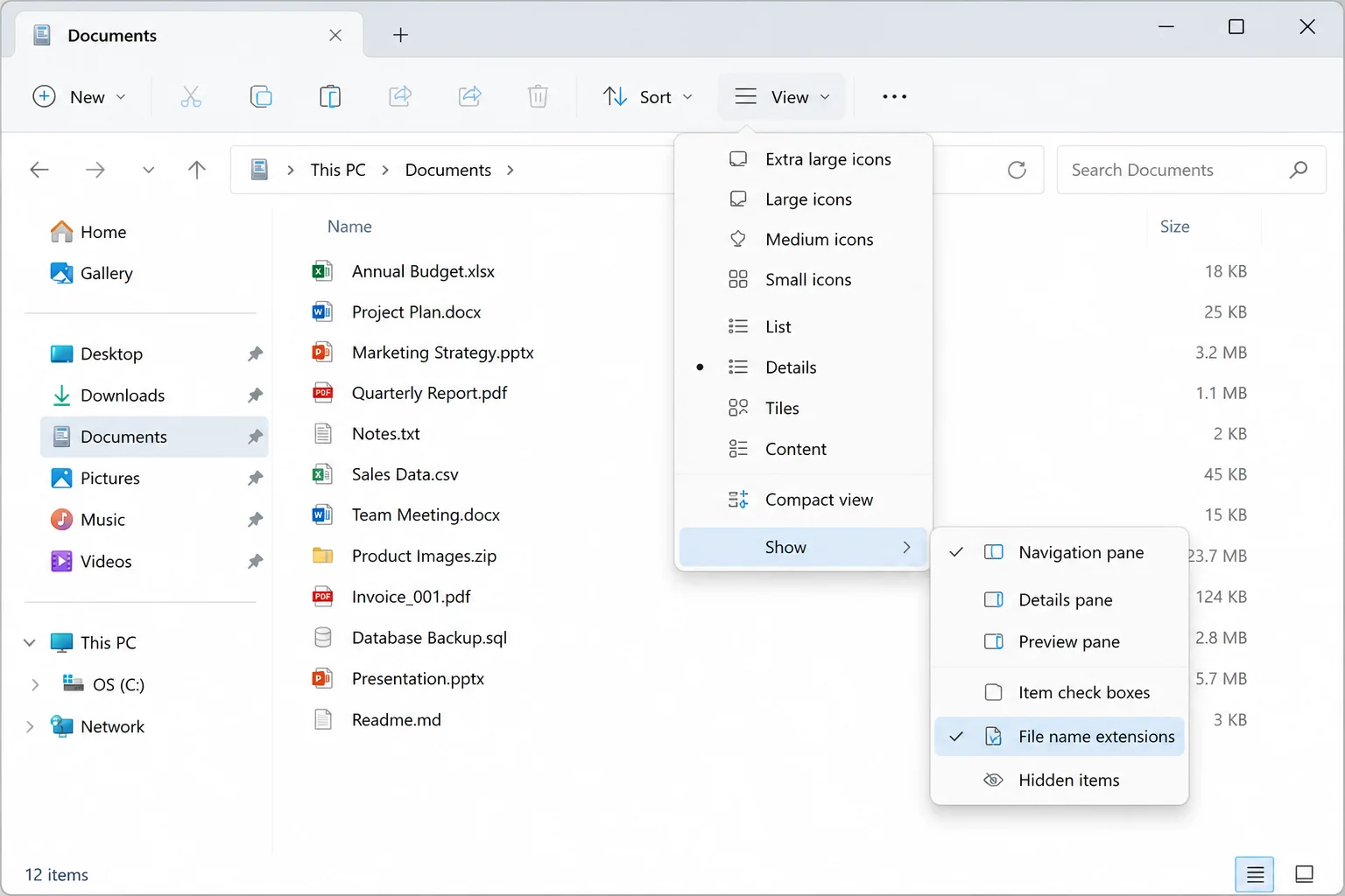 Windows 11 File Explorer command bar with View > Show open and File name extensions highlighted