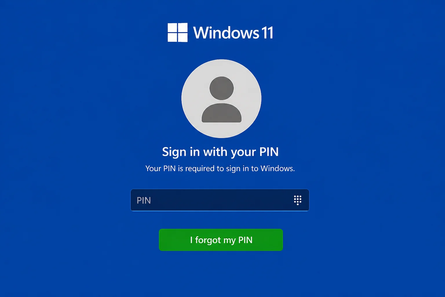 Windows 11 sign-in interface showing the Windows Hello PIN reset option without exposing an account name or other personal information