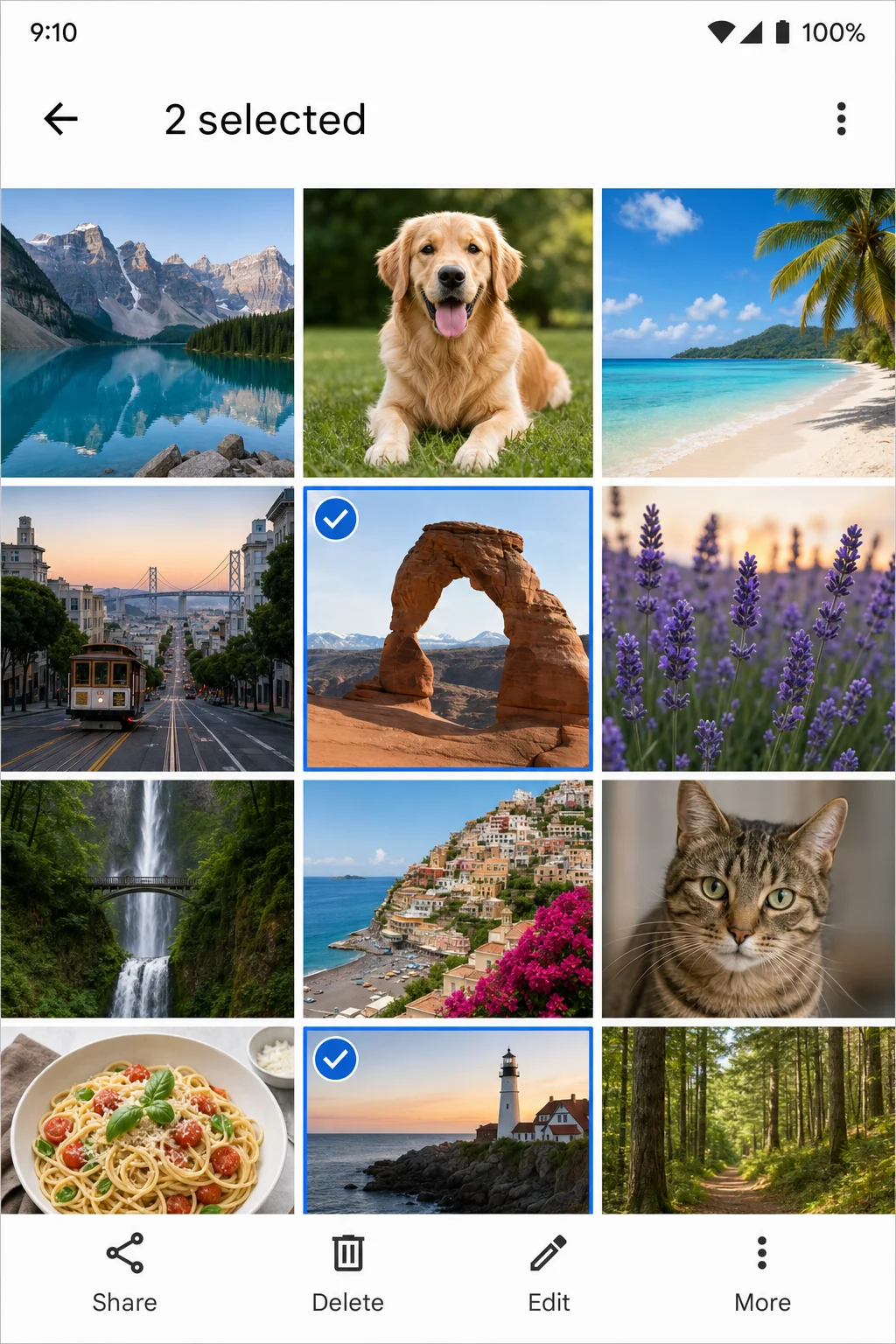 Google Photos app with two photos selected showing blue checkmarks, bottom action bar visible
