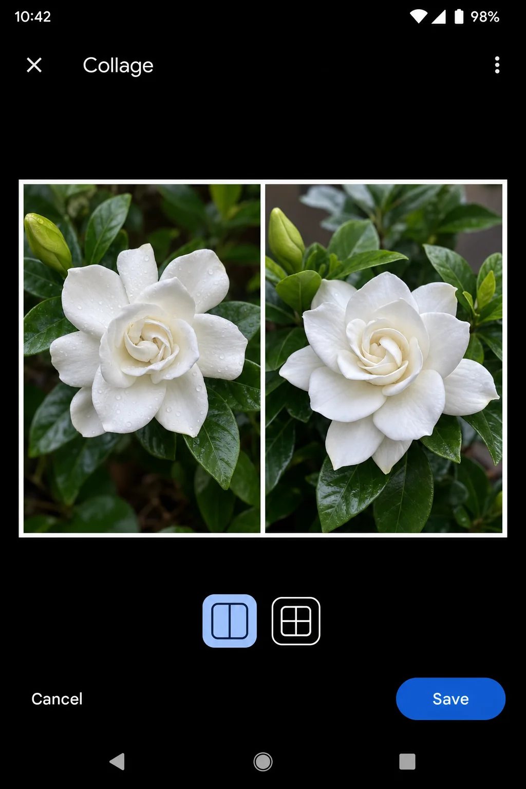 Google Photos Collage layout picker showing simple 2-photo split layout selected