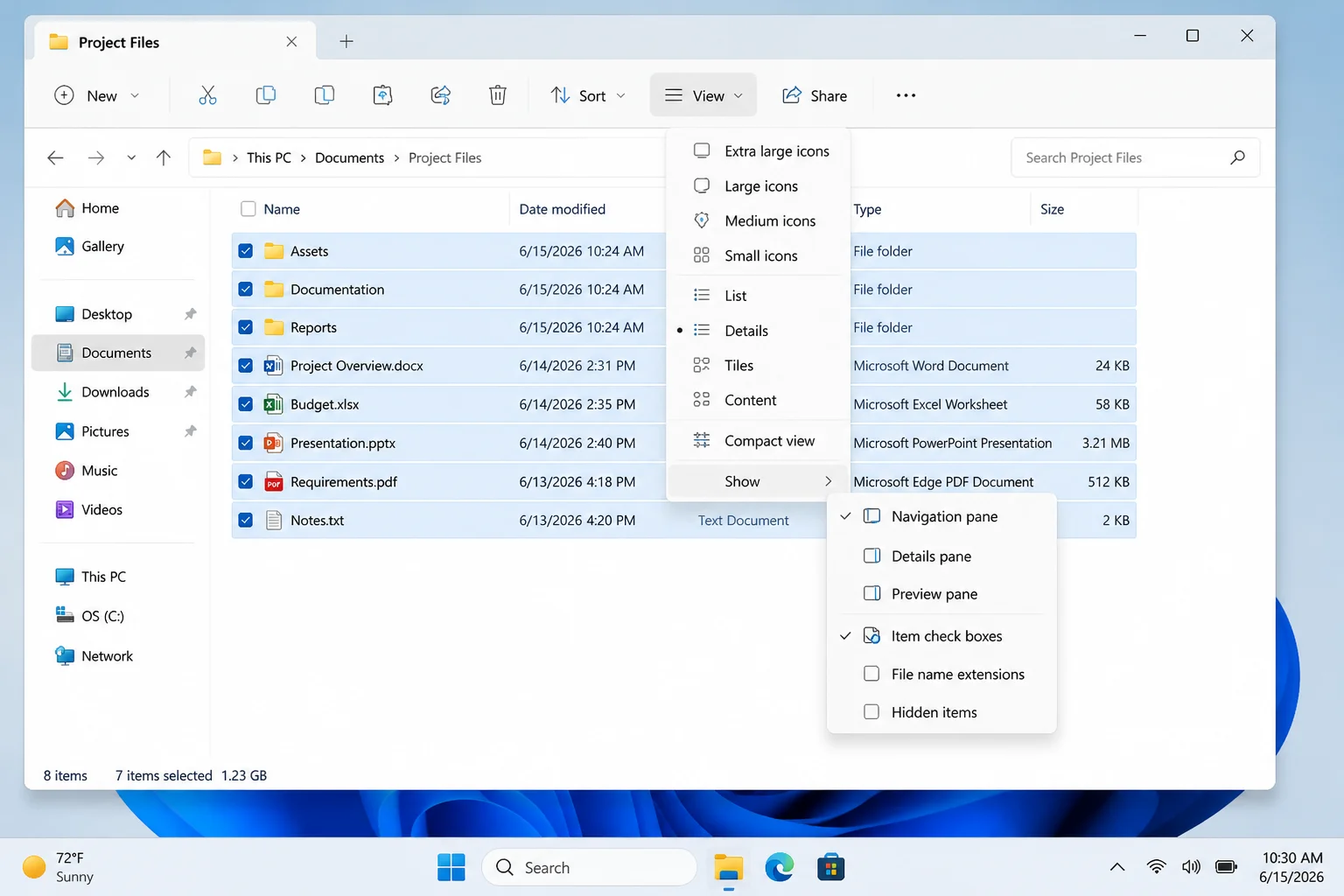 Windows 11 File Explorer with several files and folders selected in Details view