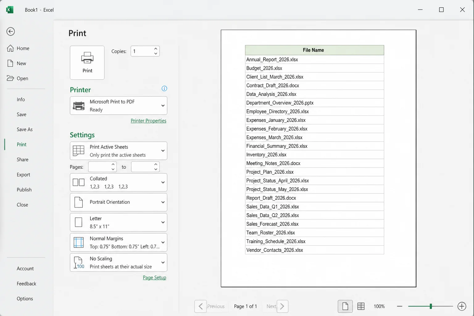 Excel print preview showing a formatted one-column directory listing ready to print