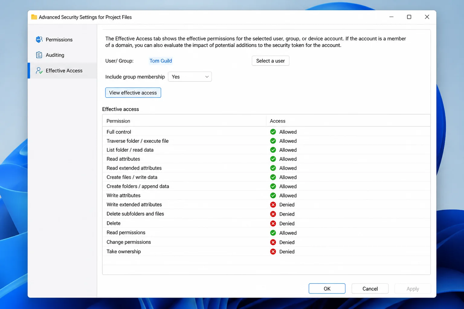Advanced Security Settings Effective Access tab in Windows 11 showing a selected user account with green checkmarks for allowed permissions and red X icons for denied permissions