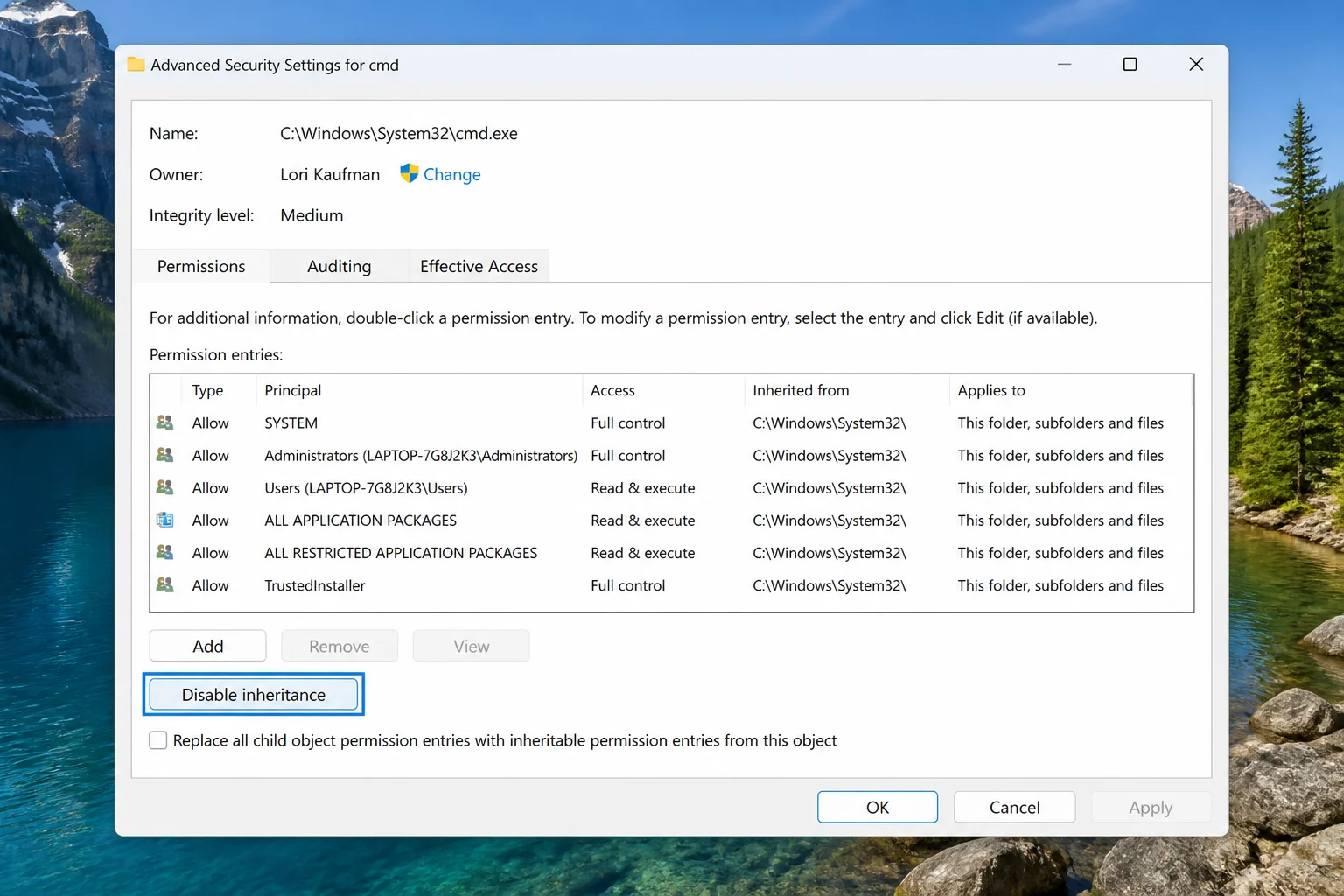 Advanced Security Settings dialog in Windows 11 showing the permission entries list and the Disable inheritance button at the bottom