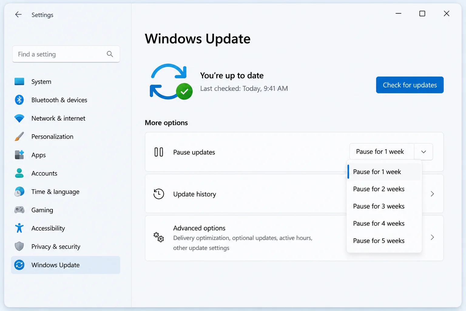 Windows 11 Settings app open to the Windows Update page, showing the Pause updates dropdown and Check for updates button