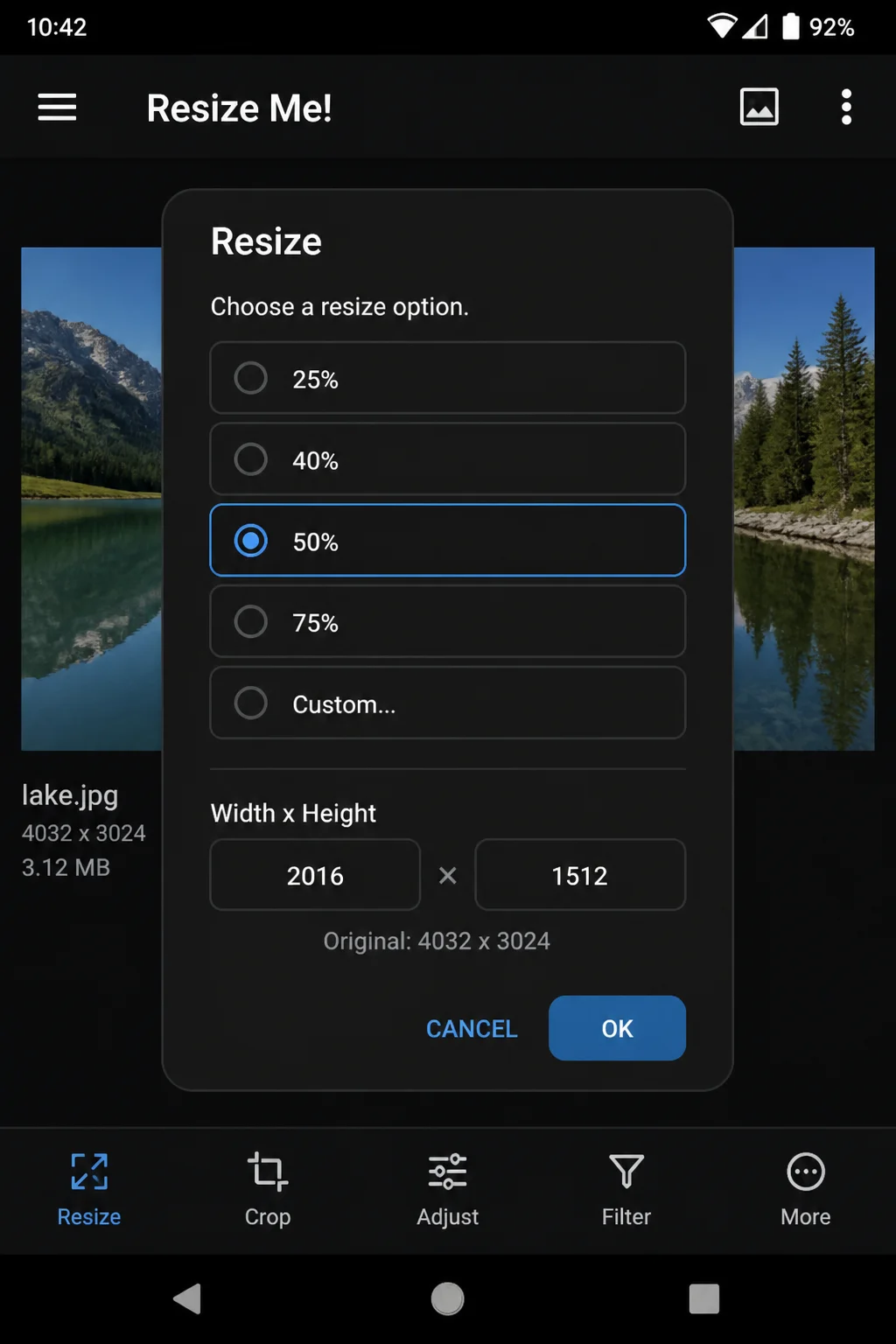 Android photo editor showing Resize options with percentage-based size choices including 75%, 50%, and 25% of original resolution